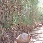Kalamies