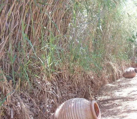 ξενοδοχείο καλαμιές